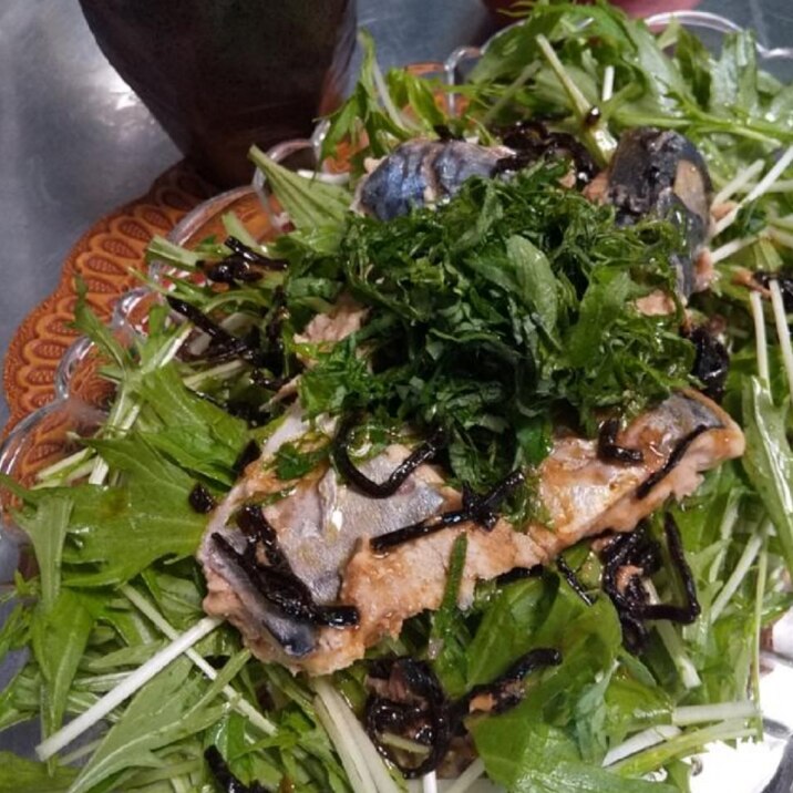 手作り塩昆布ドレッシングで サバ缶水菜サラダ レシピ 作り方 By れあmix 楽天レシピ 手作り塩昆布ドレッシングで サバ缶水菜サラダ レシピ 作り方 By れあmix 楽天レシピ